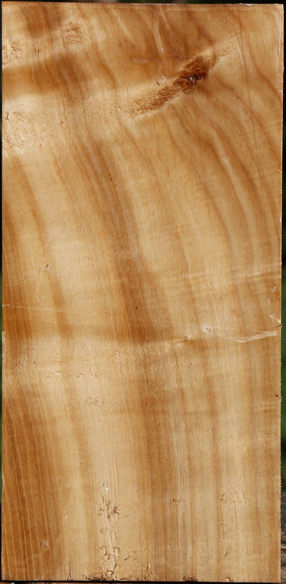 Figured Silver Poplar Vessel Blank