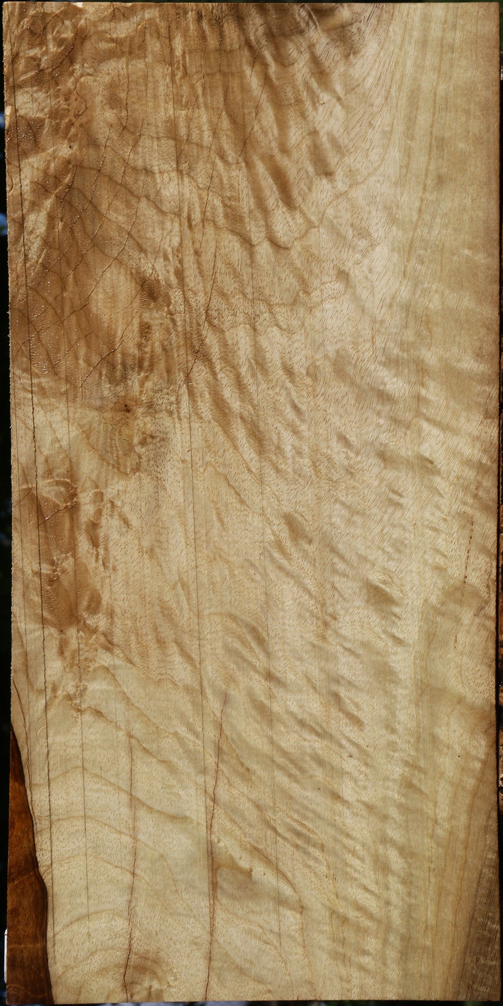 Extra Fancy Myrtle Lumber