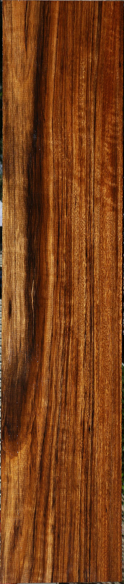 Figured Amazique Lumber