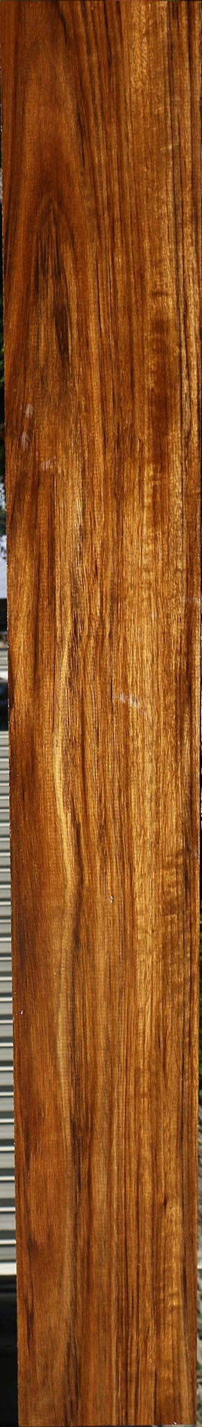 Extra Fancy Amazique Lumber