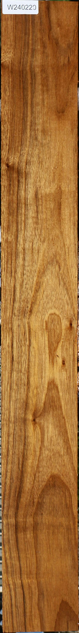 Figured Amazique Lumber