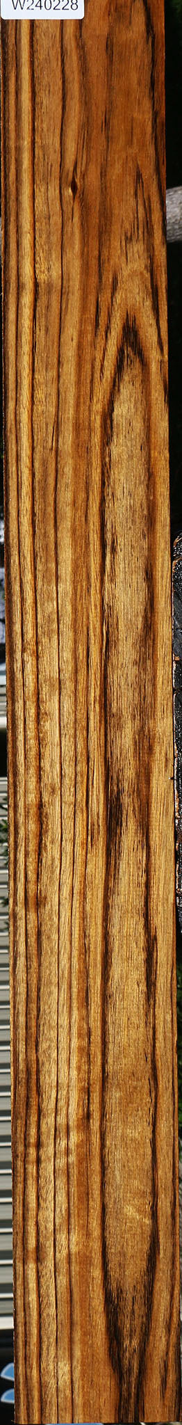 Figured Amazique Lumber