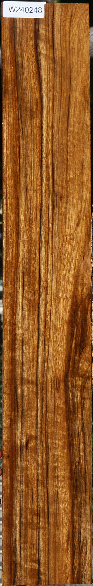 Figured Amazique Lumber