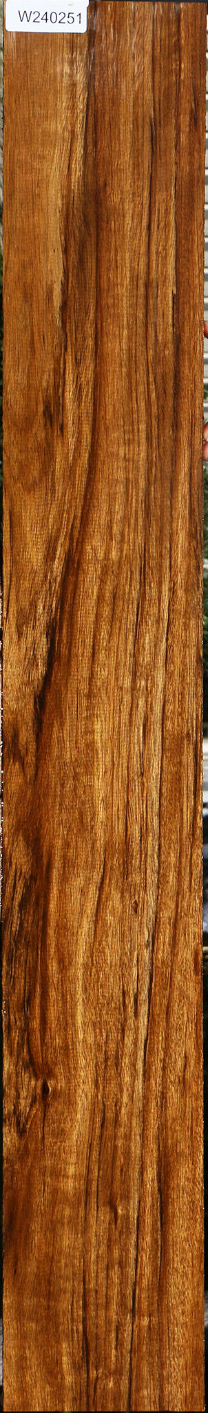 Figured Amazique Lumber