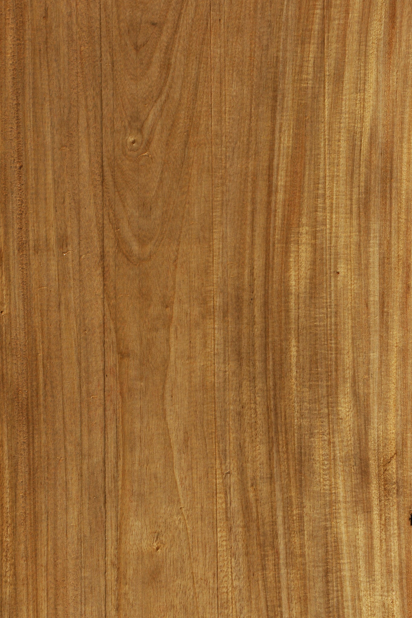 Primavera Live Edge Micro Lumber