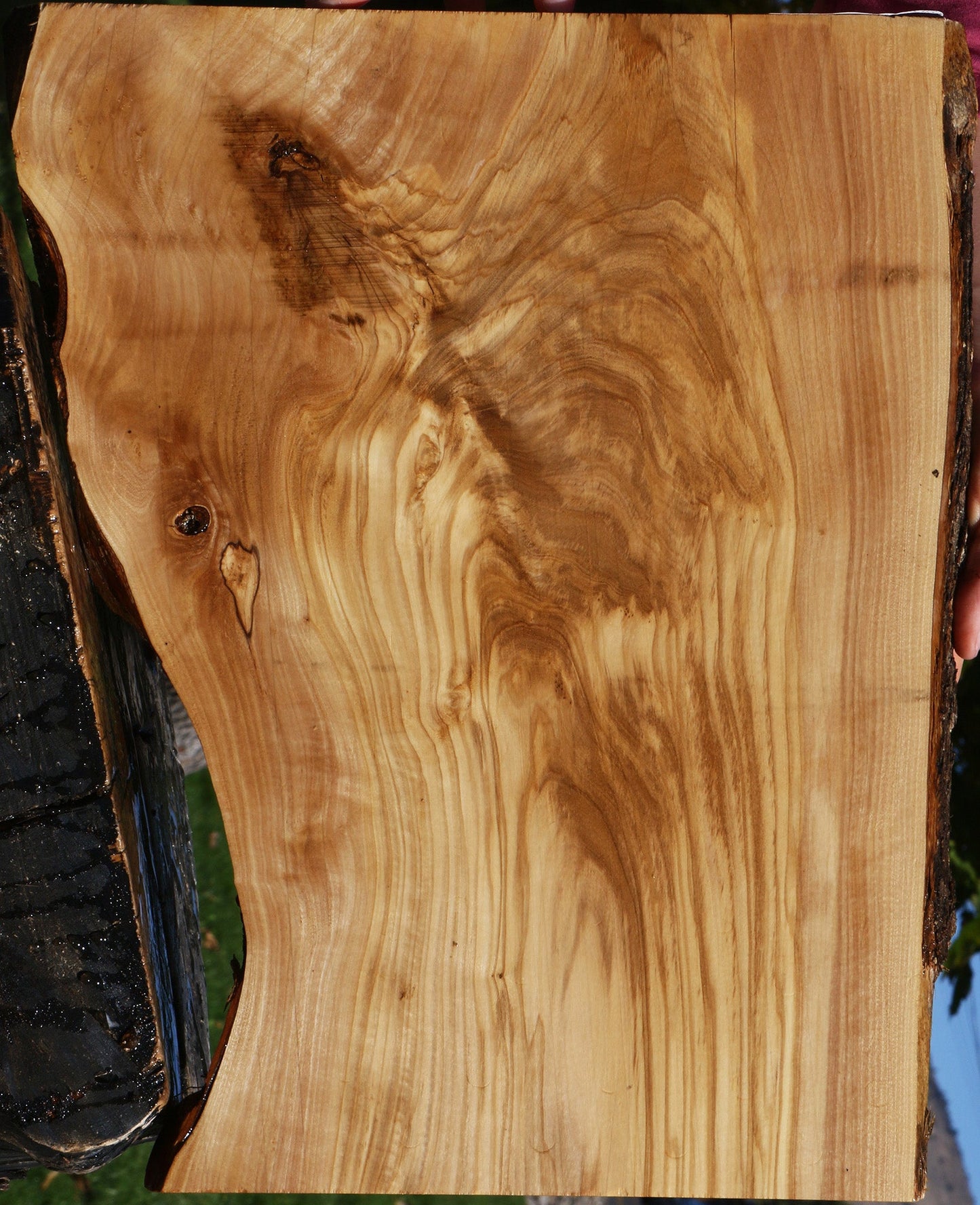 Extra Fancy Olive Live Edge Lumber