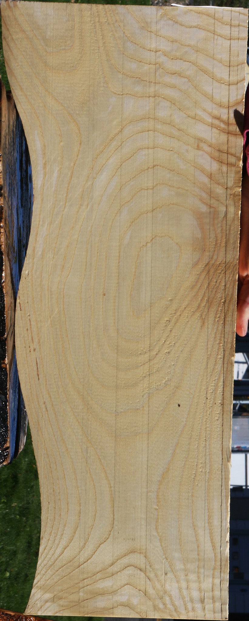 Modesto Ash Micro Lumber