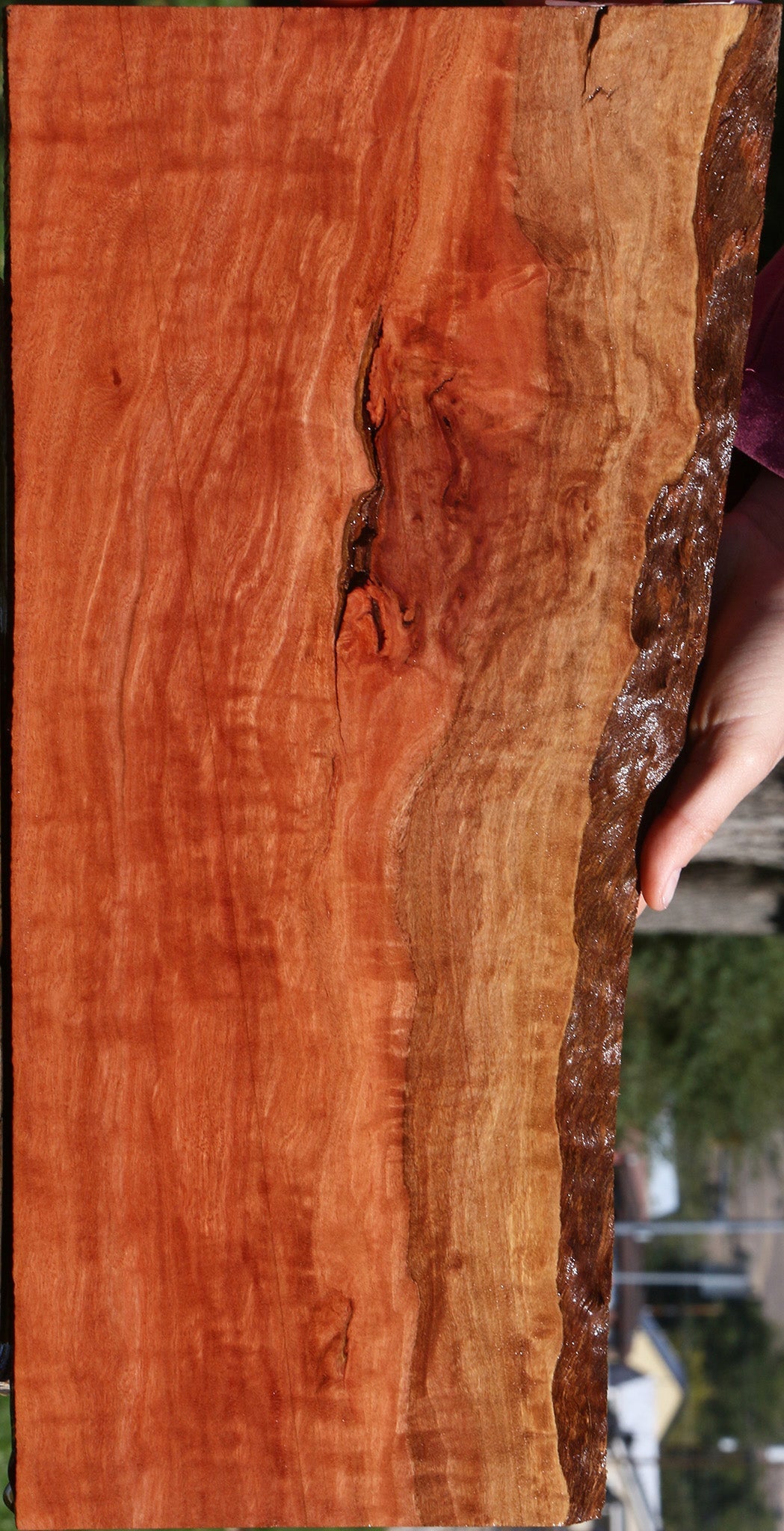 Red Gum Live Edge Lumber
