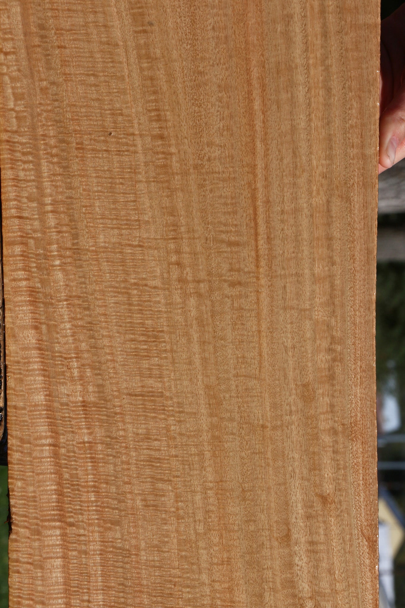 Extra Fancy Eucalyptus Lumber