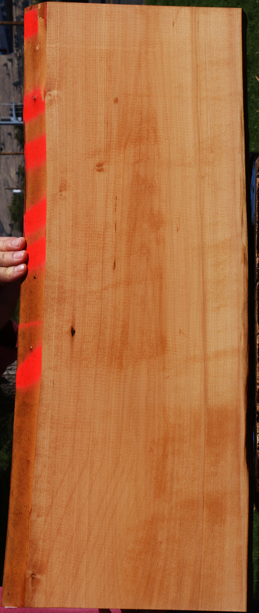 Swiss Pear Live Edge Lumber