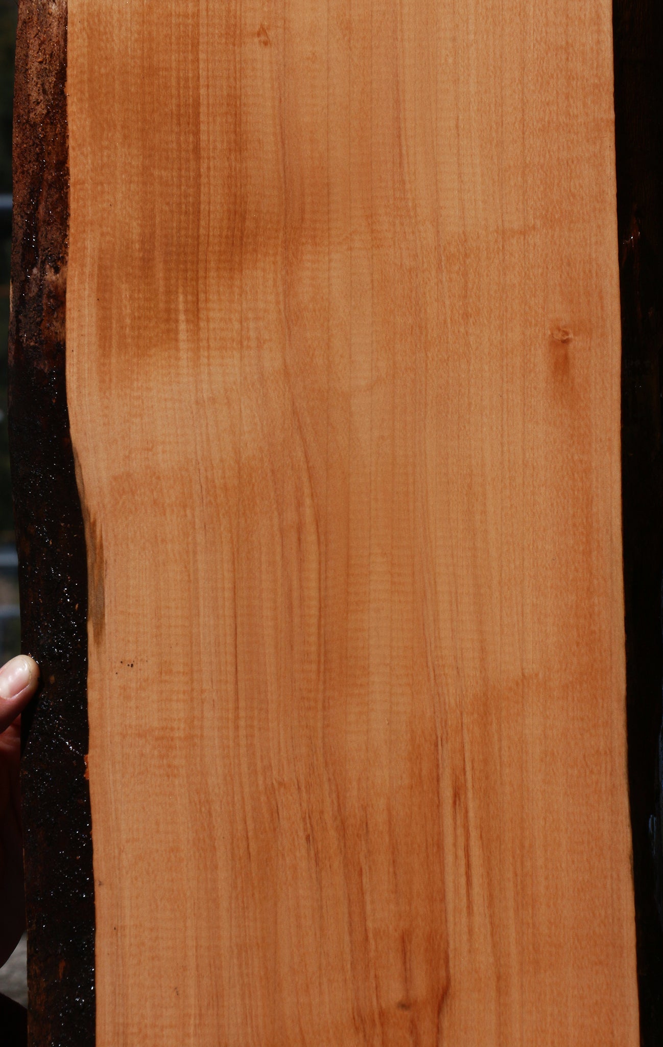 Swiss Pear Live Edge Lumber