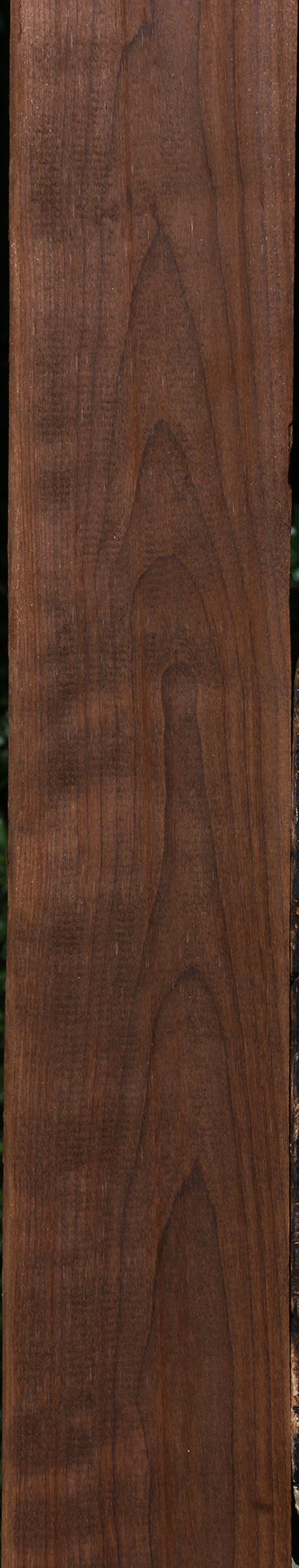 Curly Caramelized Birch Lumber