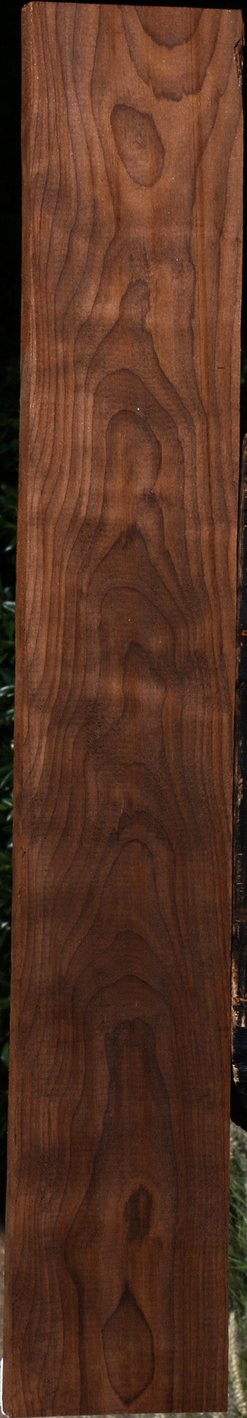 Curly Caramelized Birch Lumber