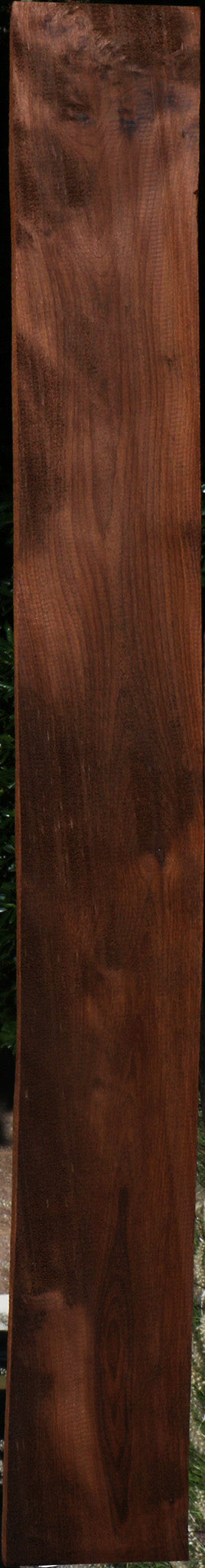 Curly Caramelized Birch Lumber