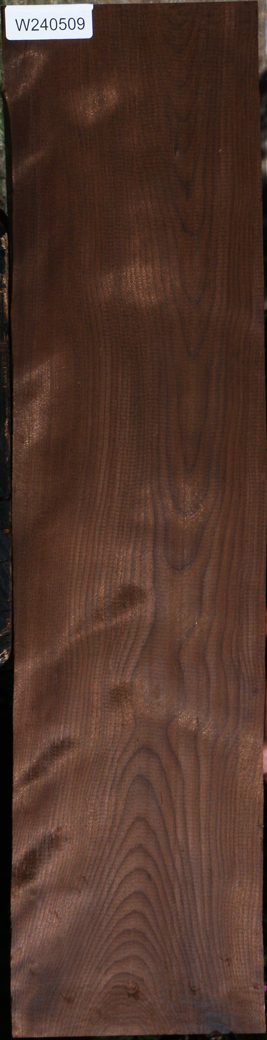 Curly Caramelized Birch Lumber