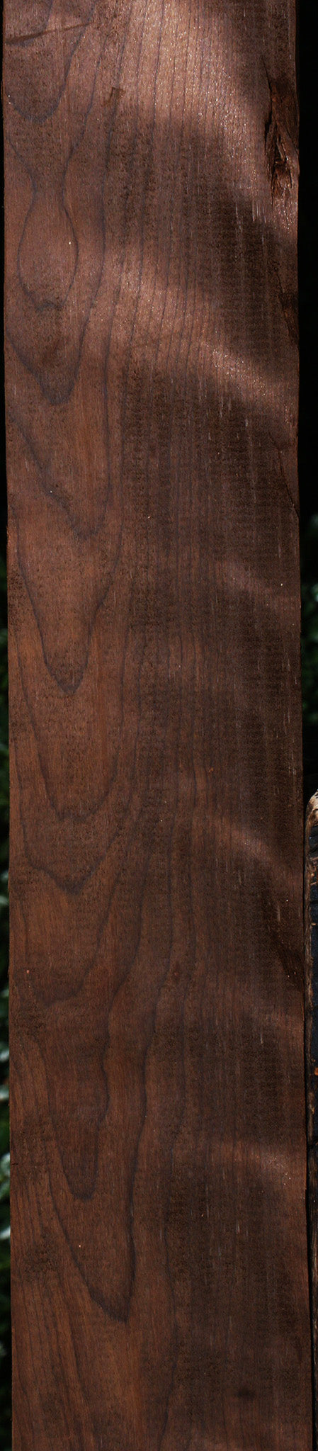 Curly Caramelized Birch Lumber