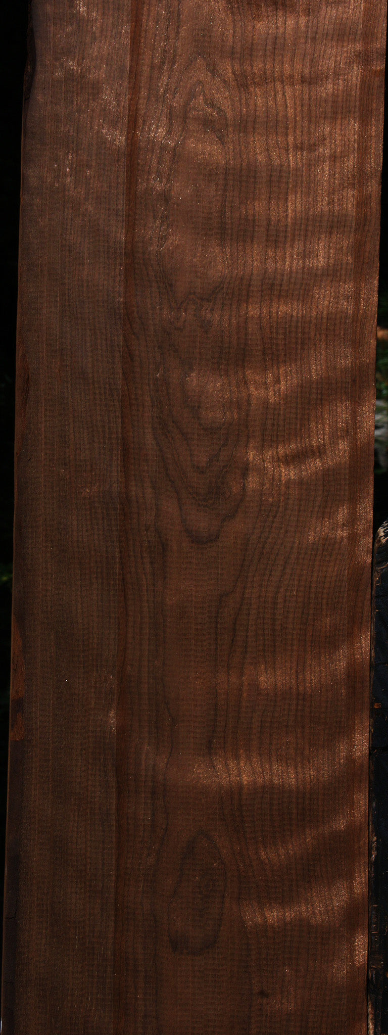 Extra Fancy Curly Caramelized Birch Lumber