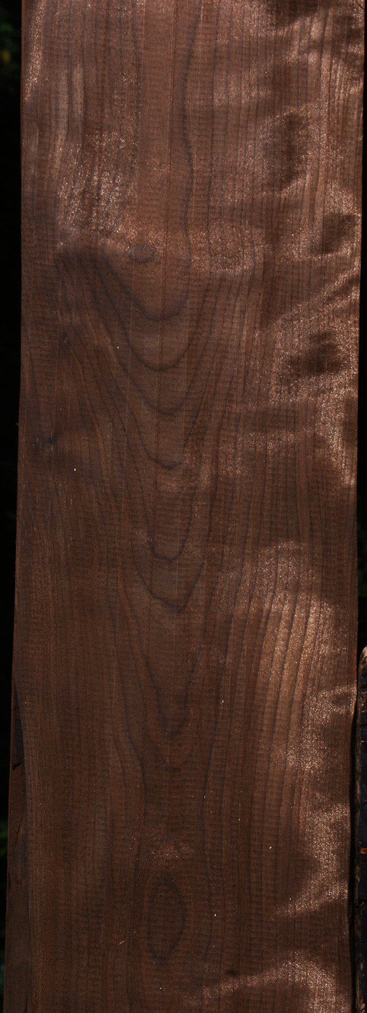 Curly Caramelized Birch Lumber
