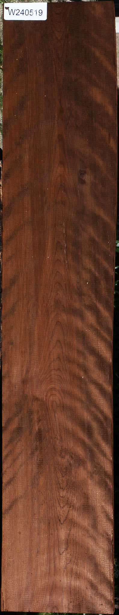 Extra Fancy Curly Caramelized Birch Lumber