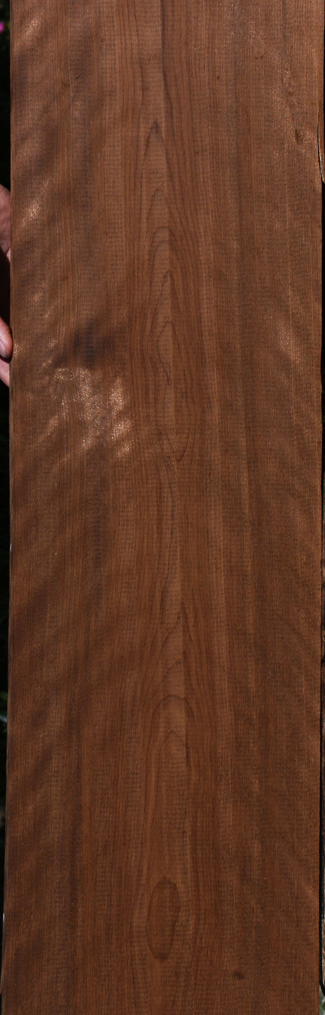 Extra Fancy Curly Caramelized Birch Lumber