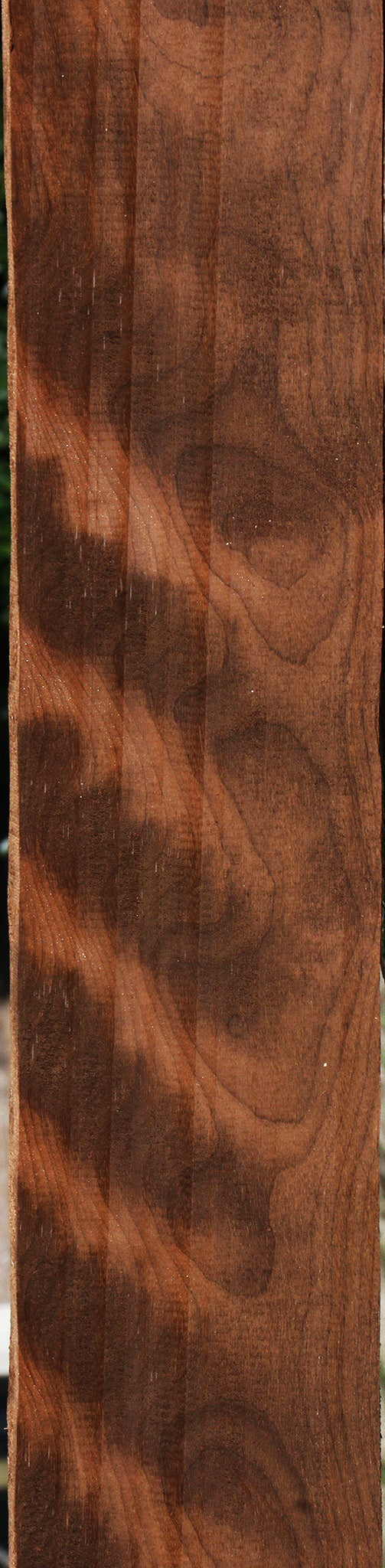Curly Caramelized Birch Lumber