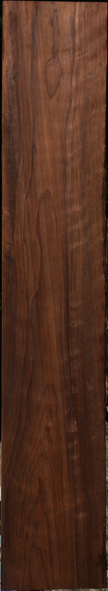 Curly Caramelized Birch Lumber