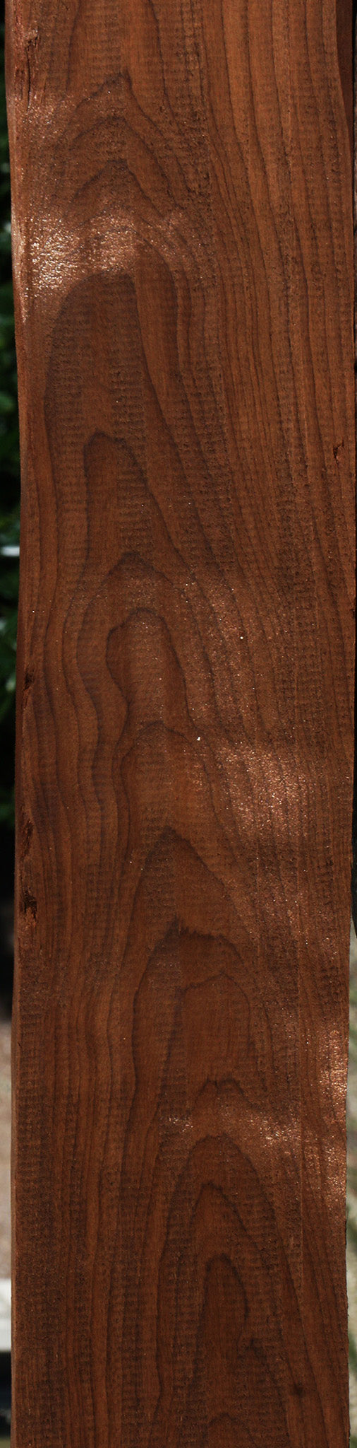 Caramelized Birch Lumber