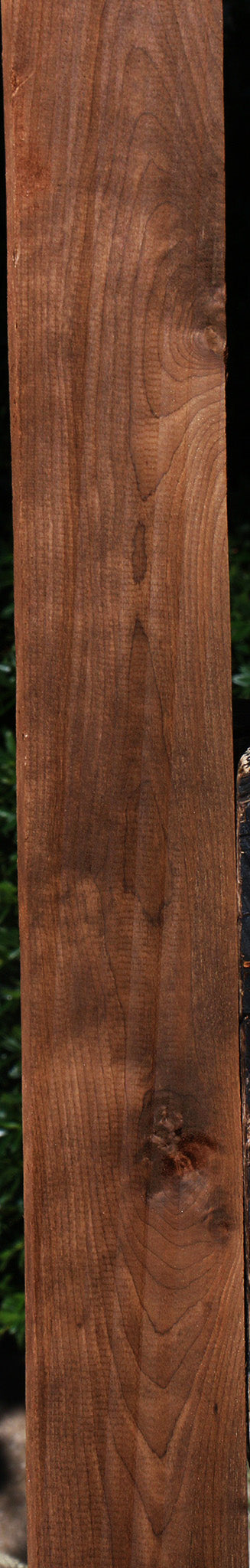 Caramelized Birch Lumber