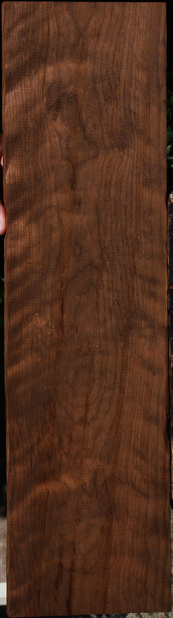 Extra Fancy Curly Caramelized Birch Lumber