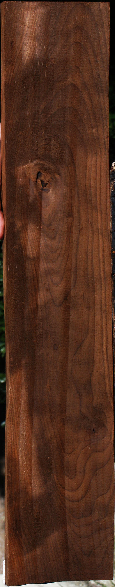 Curly Caramelized Birch Lumber