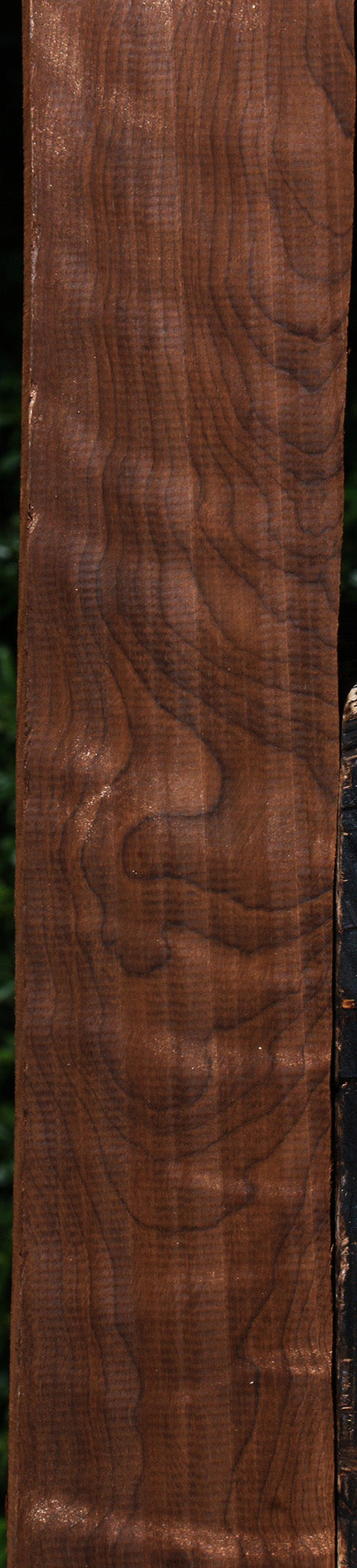 Extra Fancy Curly Caramelized Birch Lumber