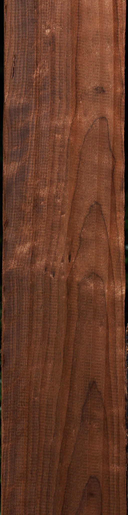 Curly Caramelized Birch Lumber