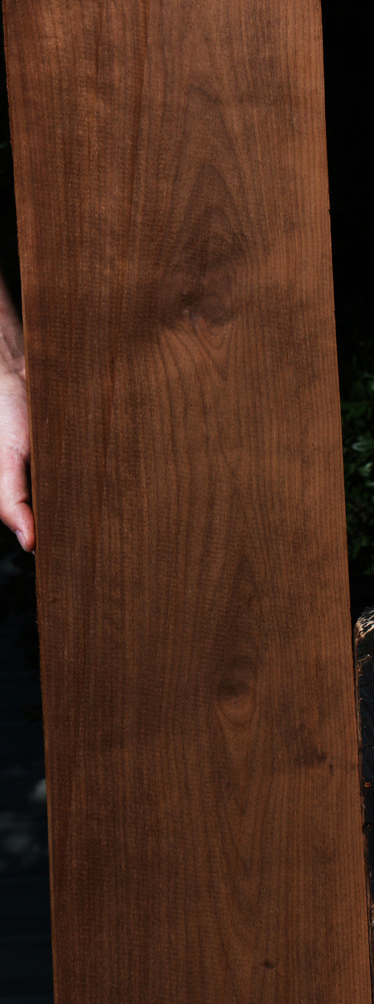 Curly Caramelized Birch Lumber