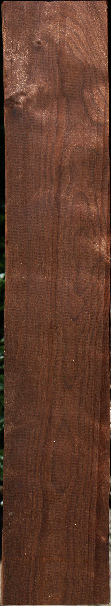 Curly Caramelized Birch Lumber