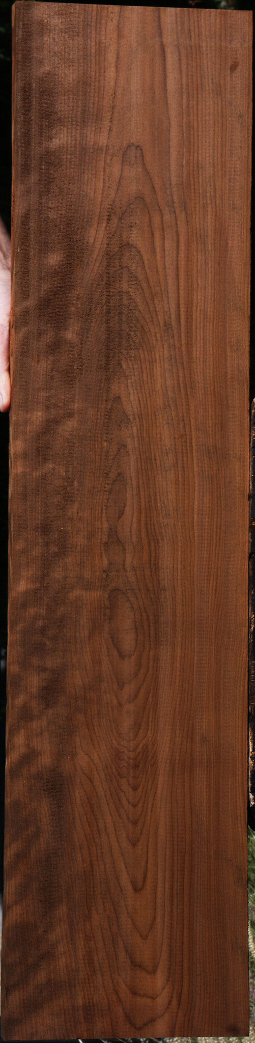 Curly Caramelized Birch Lumber