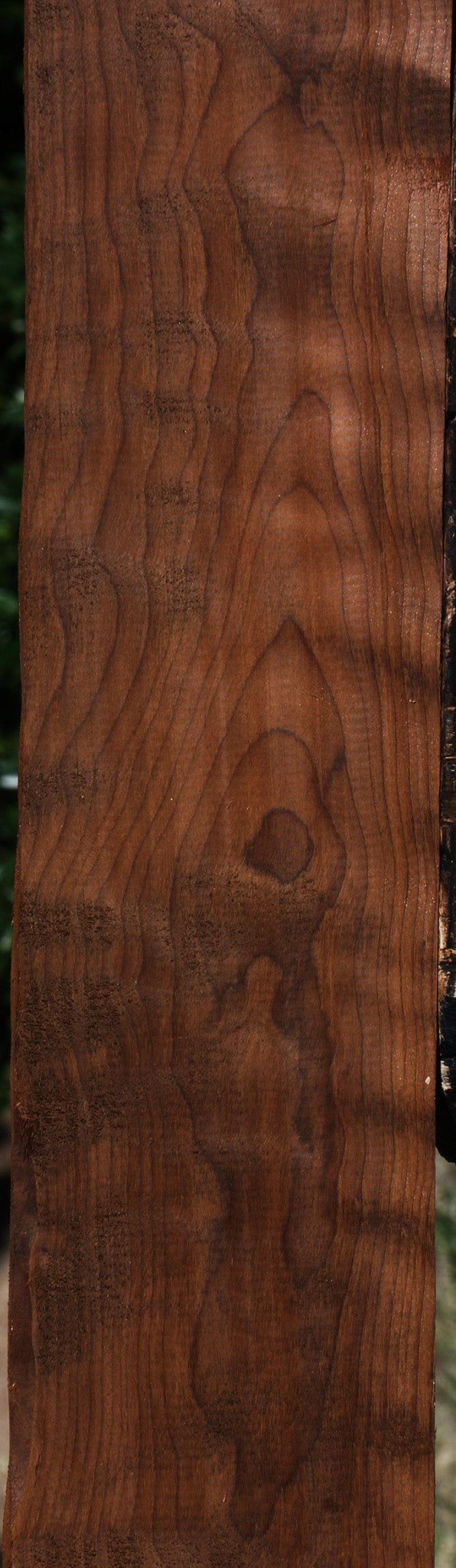 Extra Fancy Curly Caramelized Birch Lumber