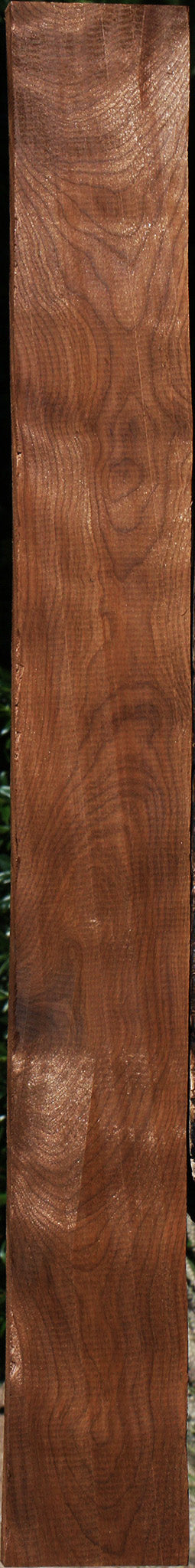 Caramelized Birch Lumber