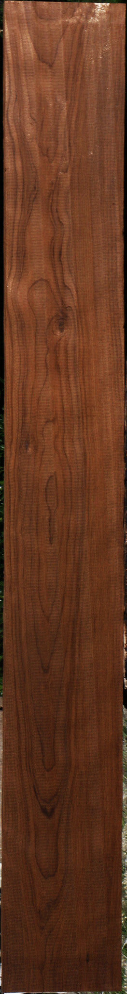 Curly Caramelized Birch Lumber