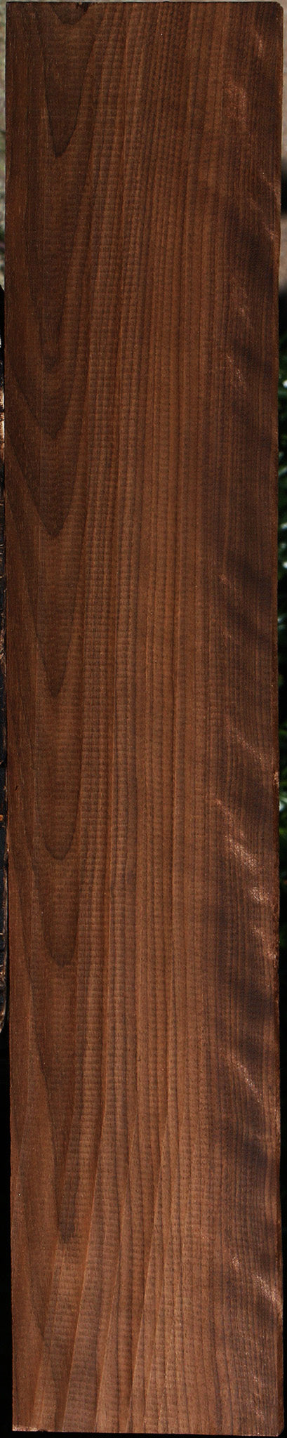Curly Caramelized Birch Lumber