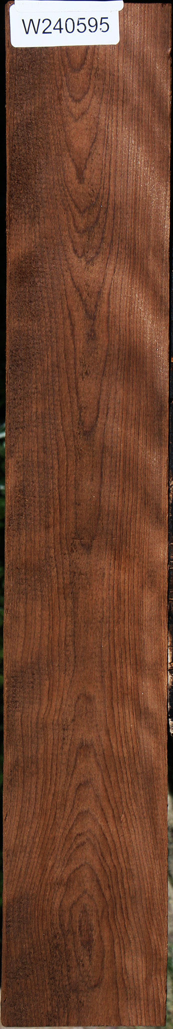 Curly Caramelized Birch Lumber