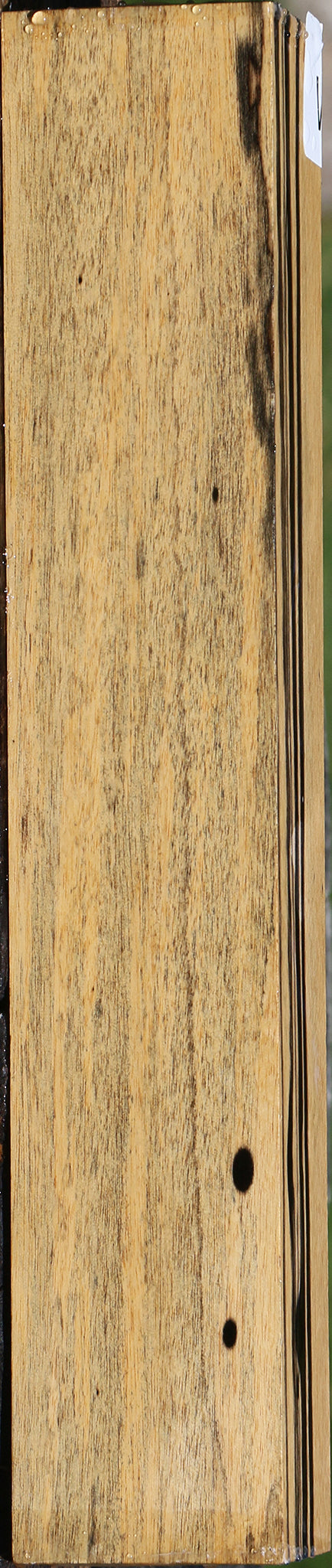 Black & White Ebony Lumber