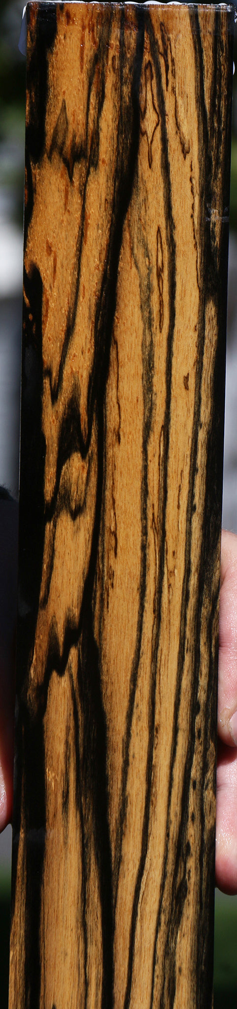 Black & White Ebony Lumber