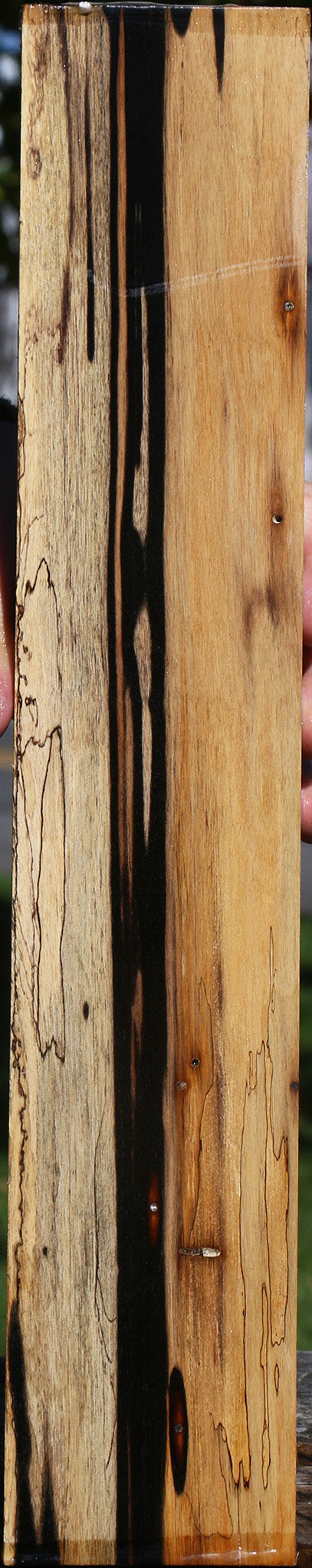 Black & White Ebony Lumber