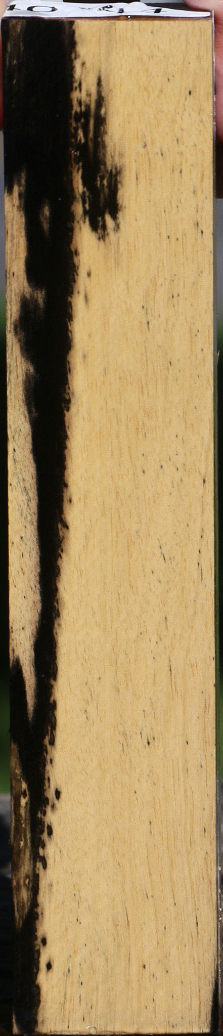Black & White Ebony Lumber