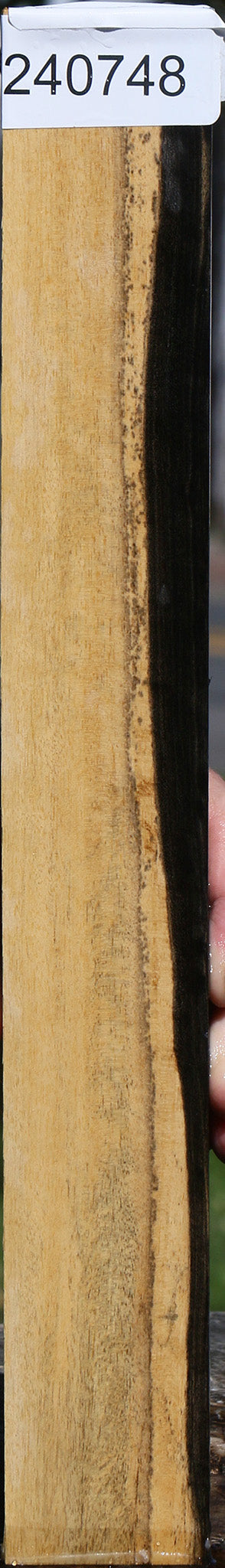 Black & White Ebony Lumber