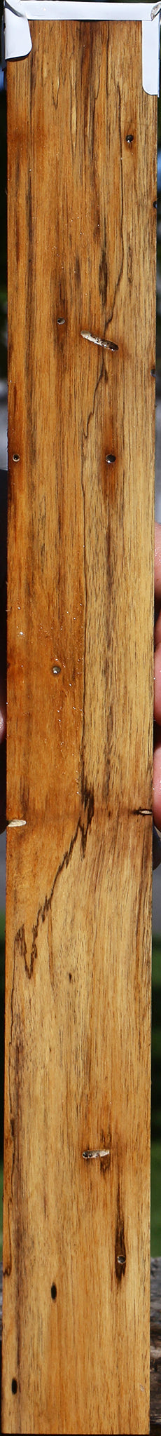 Black & White Ebony Micro Lumber