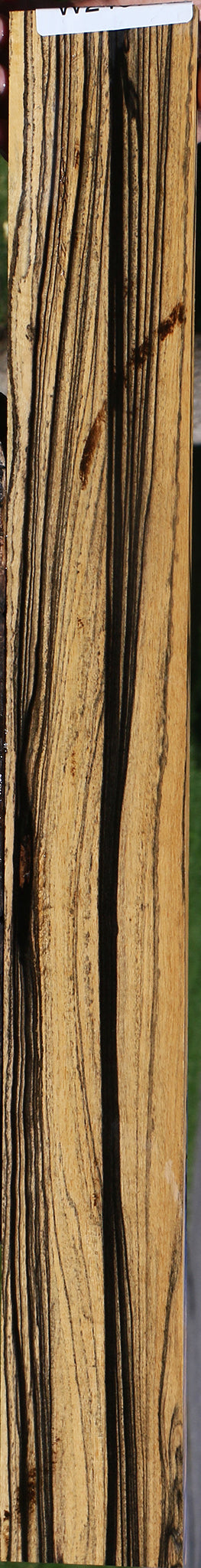 Black & White Ebony Fingerboard
