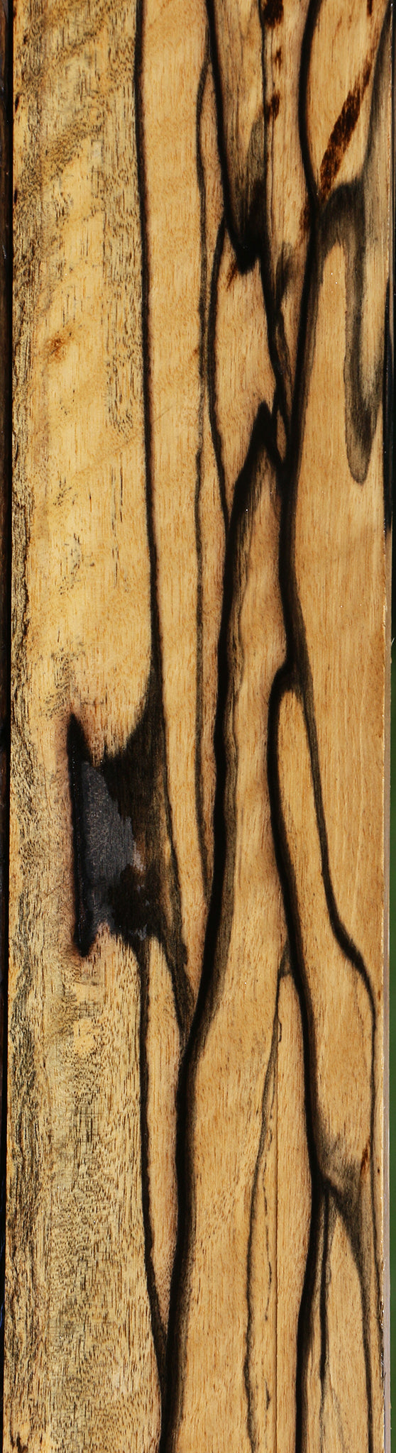 Exhibition Black & White Ebony Fingerboard