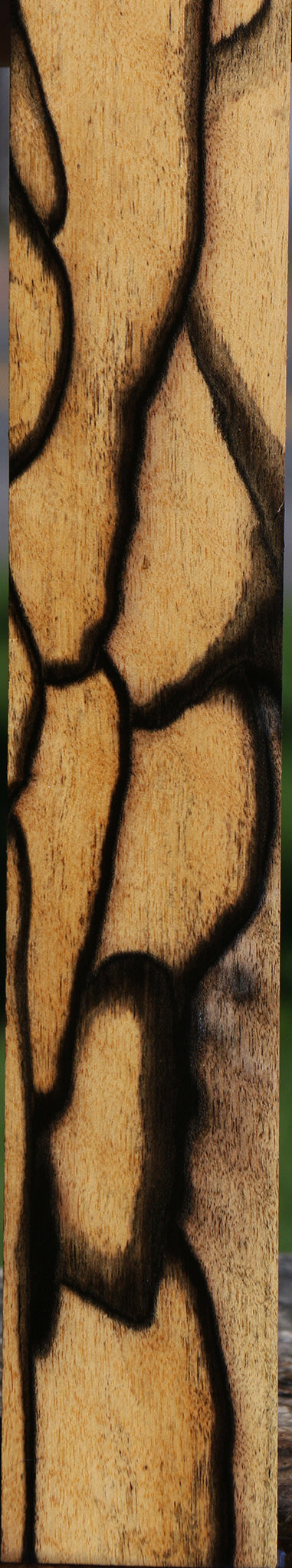 Exhibition Black & White Ebony Micro Lumber