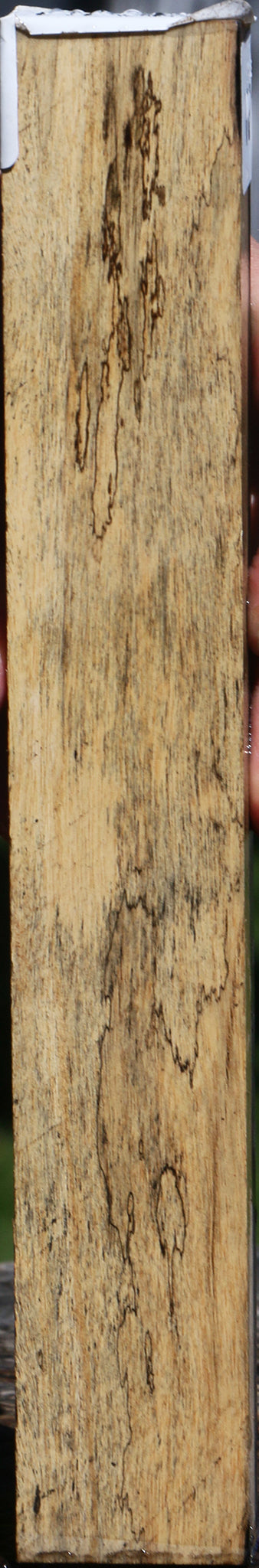 Black & White Ebony Lumber